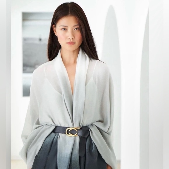 Ombré Scarf Wrap NWOT MSRP $150 - Picture 1 of 4